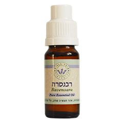 עומר הגליל - שמן אתרי רבנסרה - טבע ביוטי